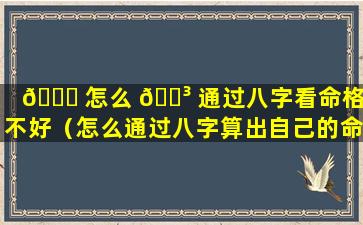 🐅 怎么 🌳 通过八字看命格好不好（怎么通过八字算出自己的命格）